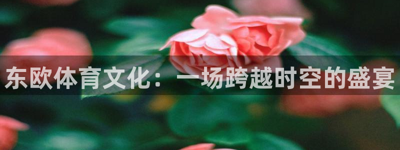 球速体育