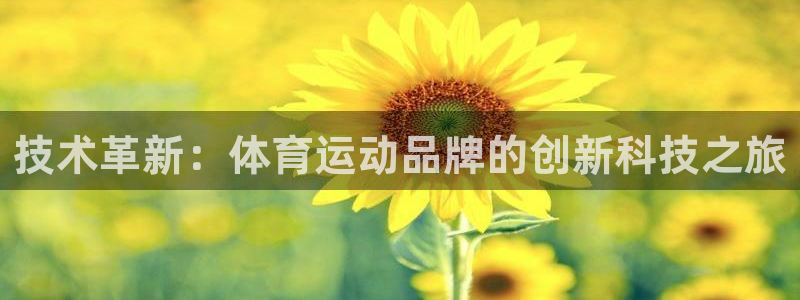 球速体育