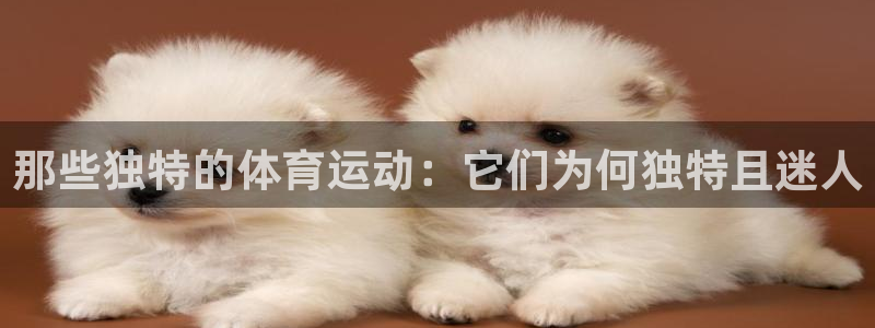 球速体育