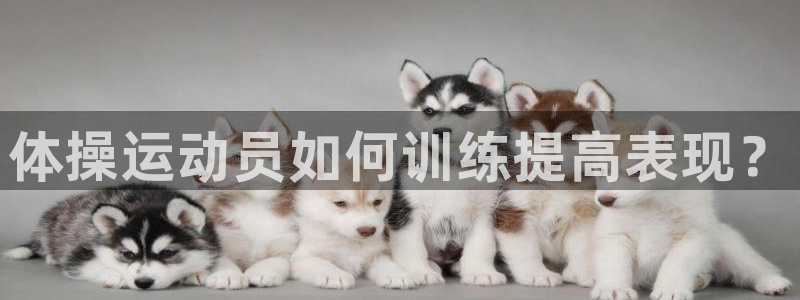 球速体育