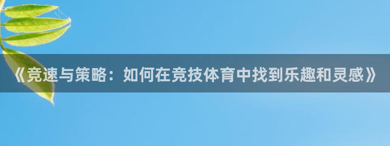 球速体育：《竞速与策略：如何在竞技体育中找到乐趣和灵感》
