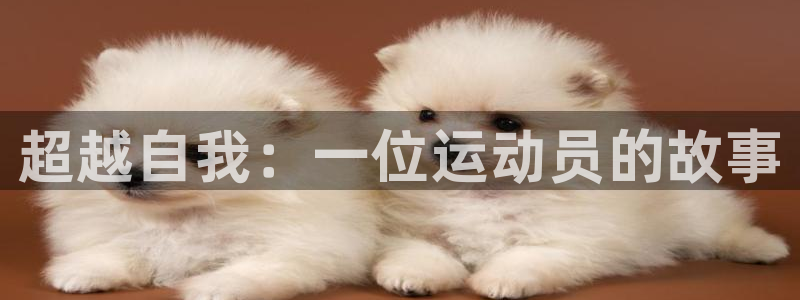 球速体育：超越自我：一位运动员的故事