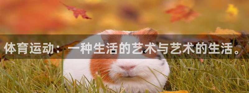 球速体育：体育运动：一种生活的艺术与艺术的生活。