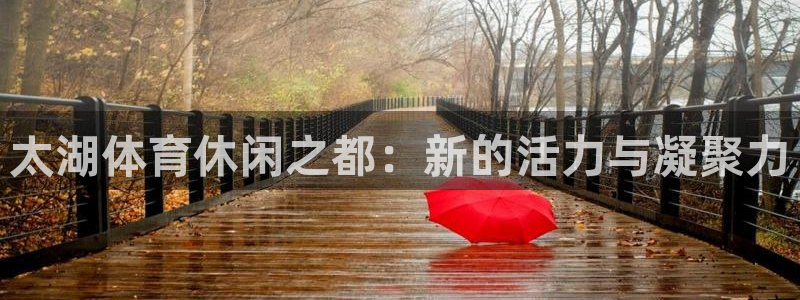 球速体育