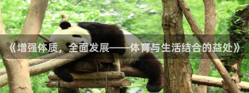 球速体育
