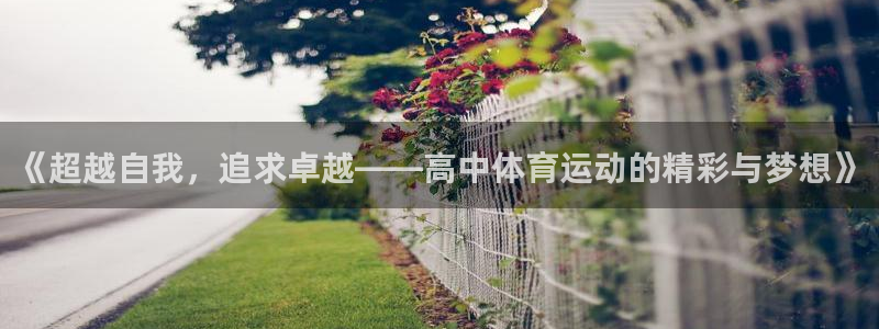球速体育