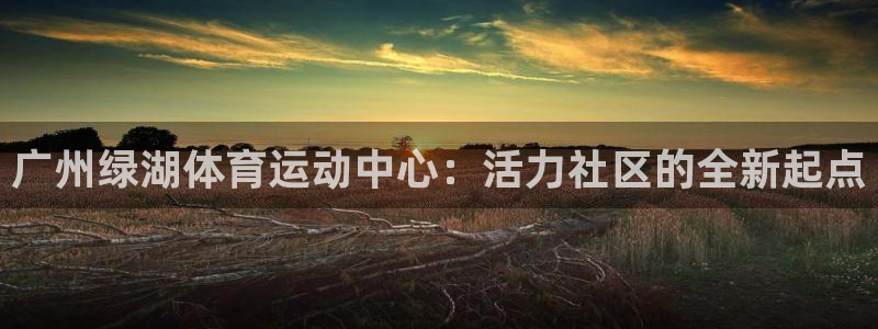 球速体育