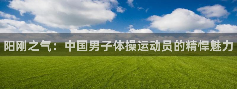球速体育