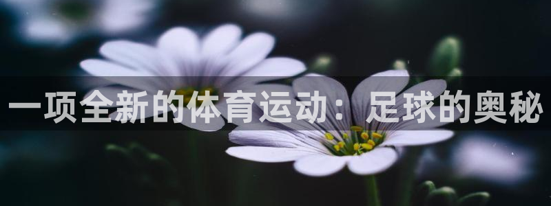 球速体育：一项全新的体育运动：足球的奥秘